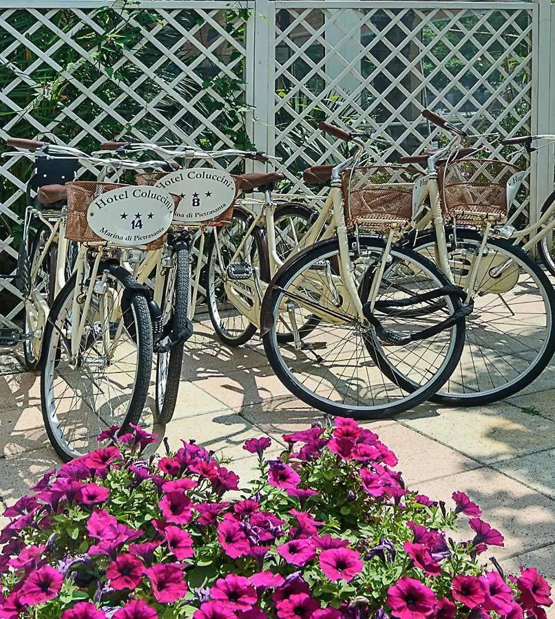 Hotel Coluccini Marina di Pietrasanta